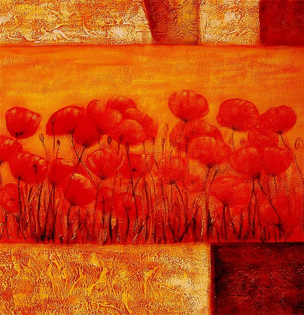 Schilderij van een veldje klaprozen