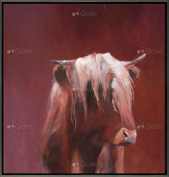 Schotse Hooglander rood