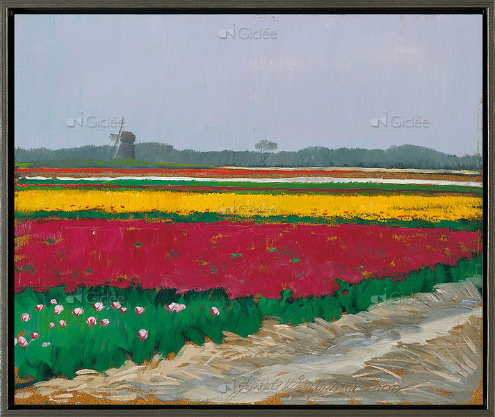 Tulpenveld bij Callantsoog