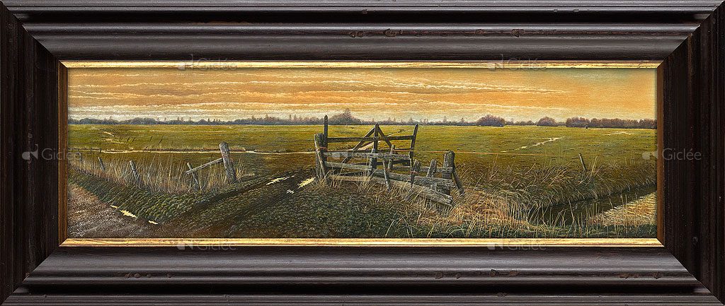 Polder Arkemheen bij Nijkerk