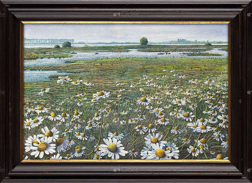 Kamille langs de IJssel