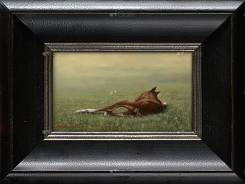 Femke, de eerste levensminuten van een veulen 1