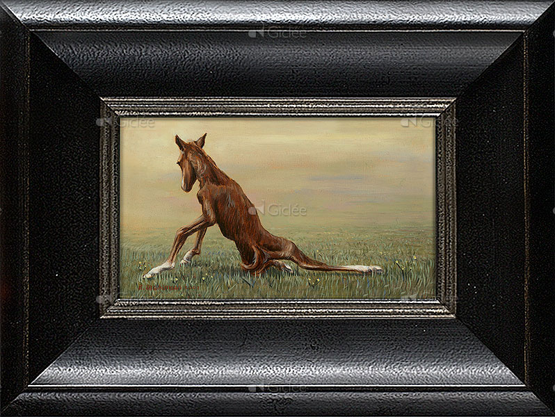 Femke, de eerste levensminuten van een veulen 2