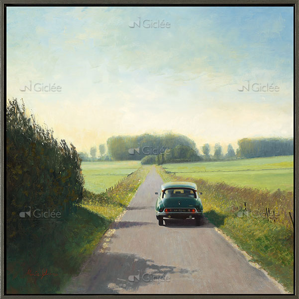 Citroën DS in de Wieringermeerpolder