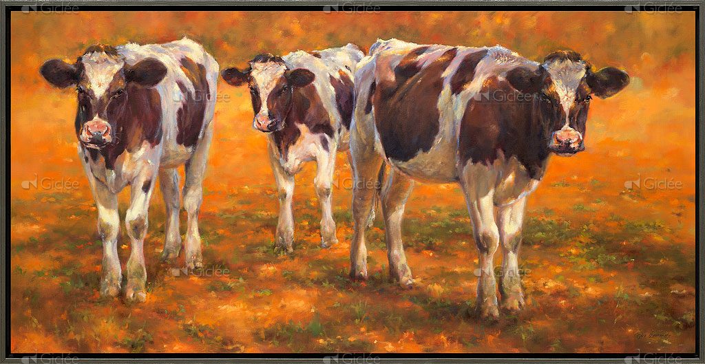 Drie kalveren in de ochtend