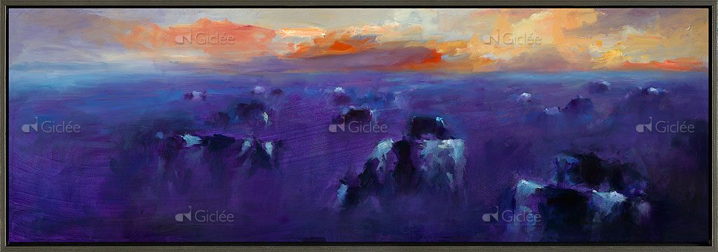 Koeien in avondlicht