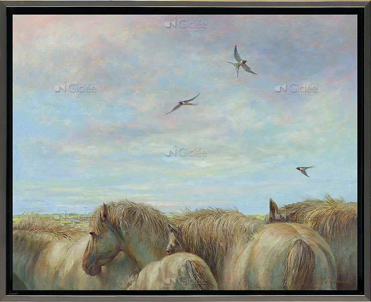 Paarden en boerenzwaluwen