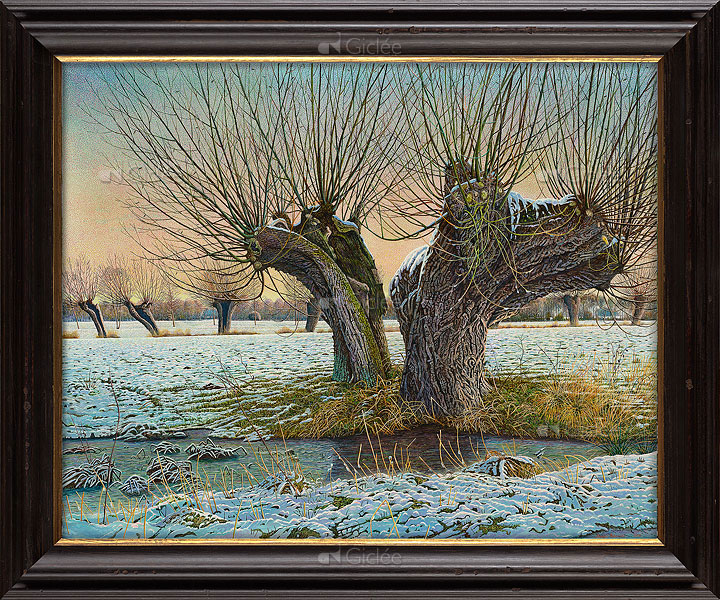 Knotwilg in de winter