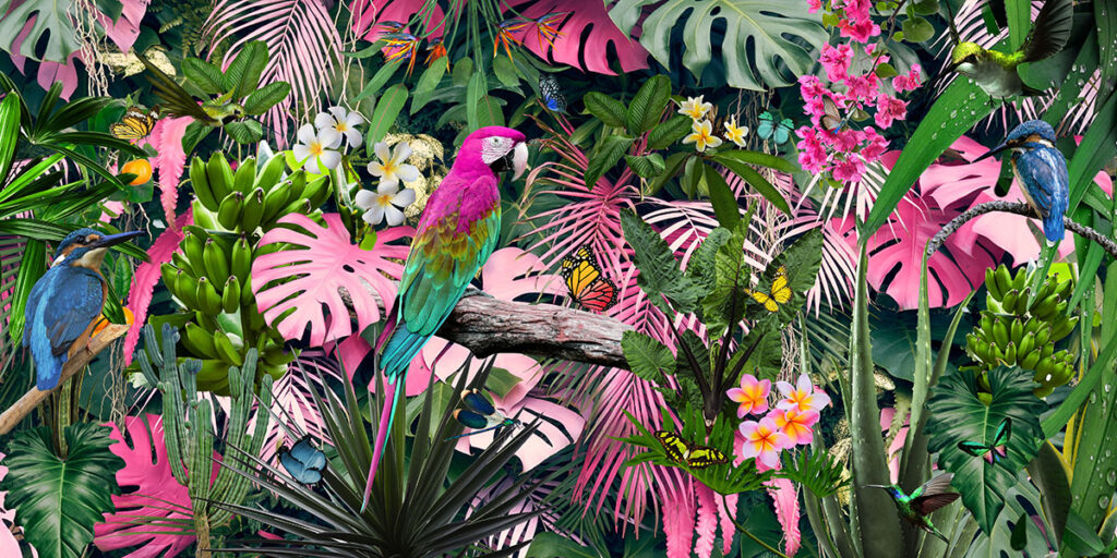 Tropical trees arranged in full background Or full wall There are leaves in different sizes, different colors, various sizes, many varieties. Another garden layout.as summer background with copy space