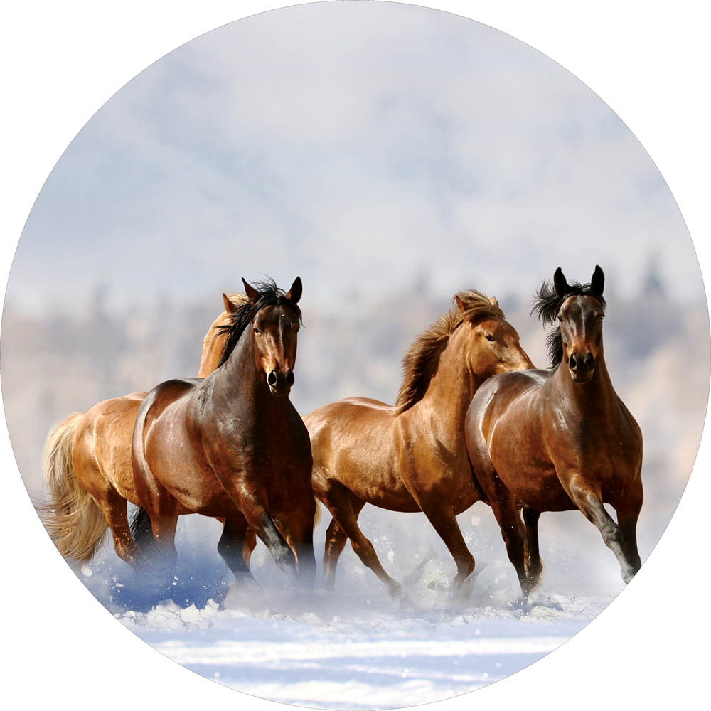 Rond glasschilderij Free Horses Paarden Vrijheid Rivier GS-S184